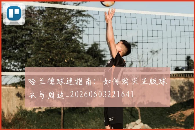 哈兰德球迷指南：如何购买正版球衣与周边_20260603221641